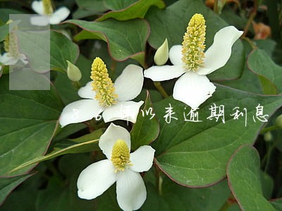 86年以来逾期利息 86年以来逾期利息