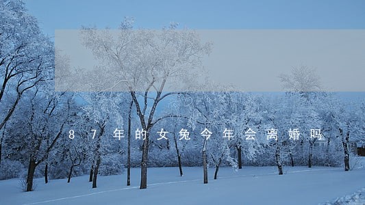 87年的女兔今年会离婚吗 87年的女兔今年会离婚吗
