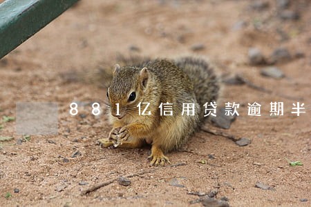 881亿信用贷款逾期半年 881亿信用贷款逾期半年