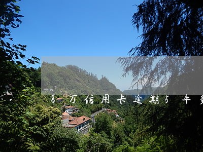 8万信用卡逾期5年多少钱
