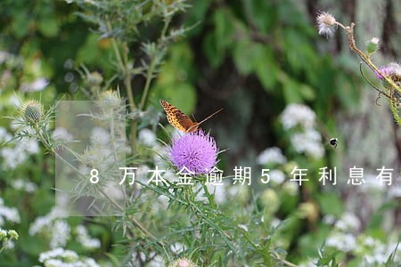 8万本金逾期5年利息有多少 8万本金逾期5年利息有多少