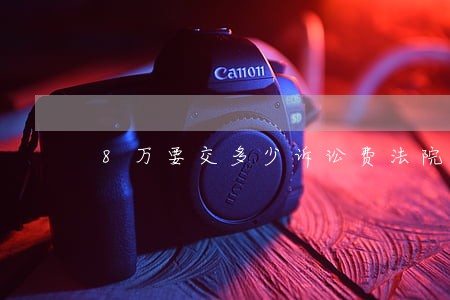 8万要交多少诉讼费法院才处理 8万要交多少诉讼费法院才处理
