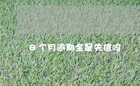 8个月逾期全是失信吗 8个月逾期全是失信吗