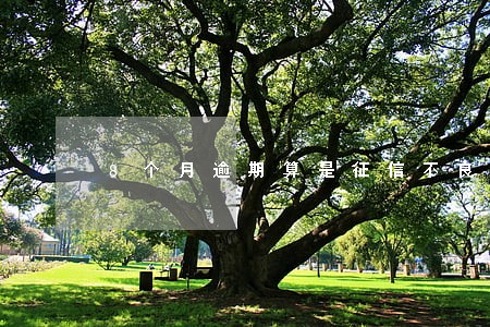 8个月逾期算是征信不良吗