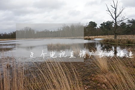 8个电视直销广告涉嫌违法遭曝光 8个电视直销广告涉嫌违法遭曝光