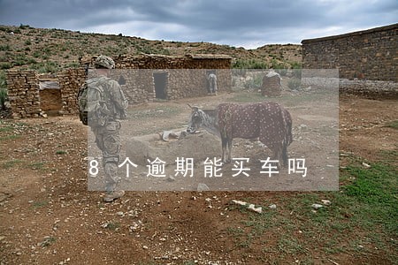 8个逾期能买车吗 8个逾期能买车吗