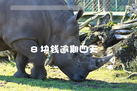 8块钱逾期四天 8块钱逾期四天