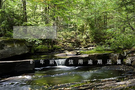 8年前的信用逾期还算吗 8年前的信用逾期还算吗