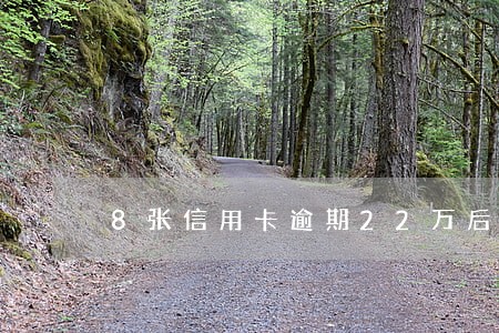 8张信用卡逾期22万后果 8张信用卡逾期22万后果