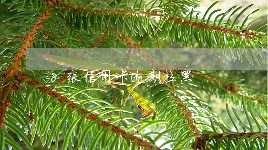 8张信用卡逾期拉黑