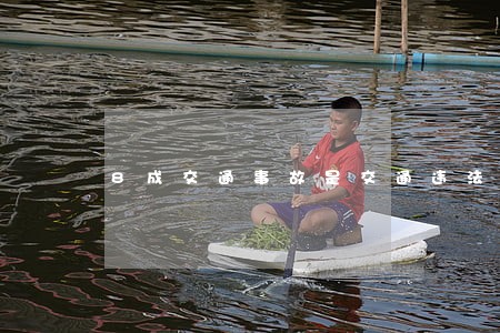 8成交通事故是交通违法所致 8成交通事故是交通违法所致