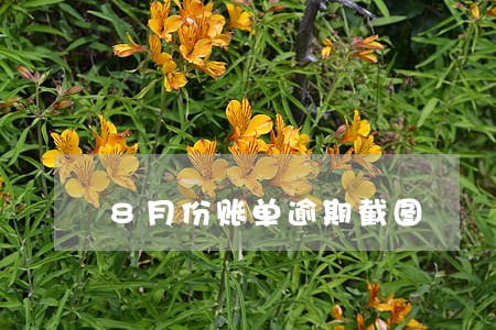 8月份账单逾期截图 8月份账单逾期截图