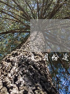 8月份逾期不催收了