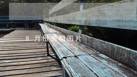 8月份逾期图片 8月份逾期图片