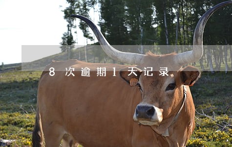 8次逾期1天记录 8次逾期1天记录