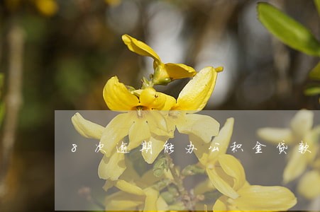 8次逾期能办公积金贷款吗 8次逾期能办公积金贷款吗