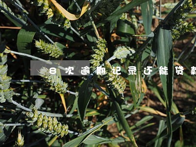 8次逾期记录还能贷款吗 8次逾期记录还能贷款吗