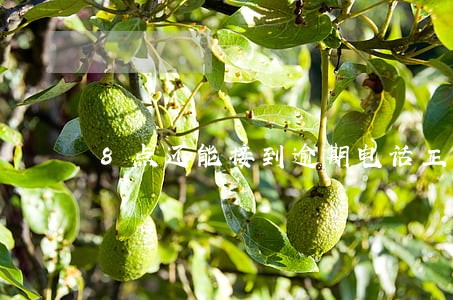 8点还能接到逾期电话正常吗