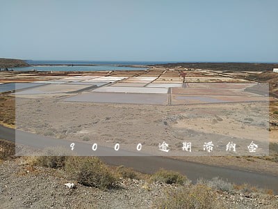 9000逾期滞纳金 9000逾期滞纳金