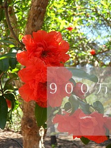 900万债务需要多少律师费 900万债务需要多少律师费