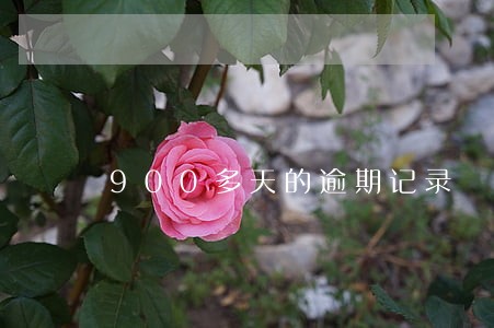 900多天的逾期记录 900多天的逾期记录