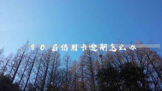 90后信用卡逾期怎么办