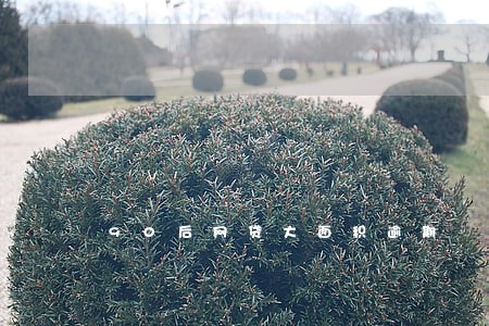 90后网贷大面积逾期 90后网贷大面积逾期