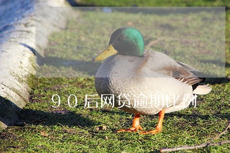 90后网贷逾期比例 90后网贷逾期比例