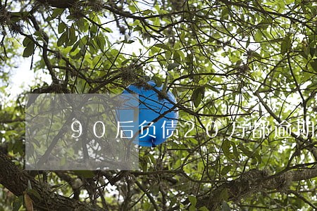 90后负债20万都逾期了 90后负债20万都逾期了
