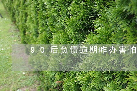 90后负债逾期咋办害怕会找家人
