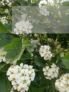 90后造成离婚的因素 90后造成离婚的因素