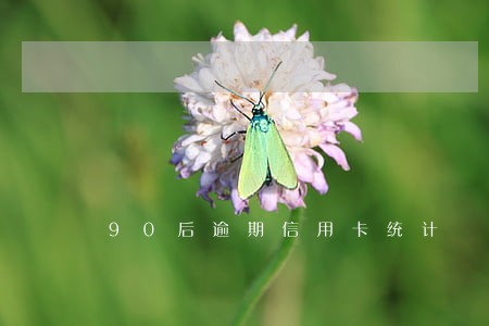 90后逾期信用卡统计 90后逾期信用卡统计