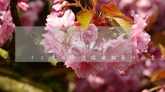90天以上连续逾期是什么意思 90天以上连续逾期是什么意思