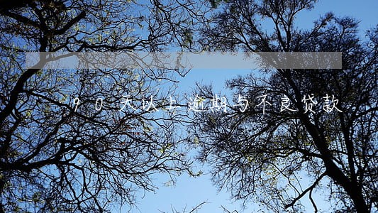 90天以上逾期与不良贷款 90天以上逾期与不良贷款