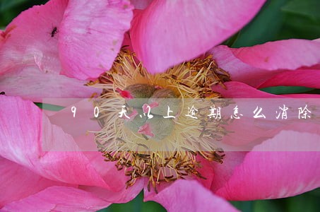 90天以上逾期怎么消除 90天以上逾期怎么消除