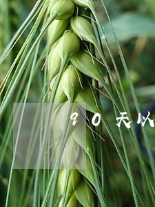 90天以上逾期计算公式 90天以上逾期计算公式