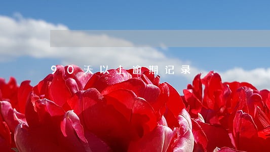 90天以上逾期记录 90天以上逾期记录