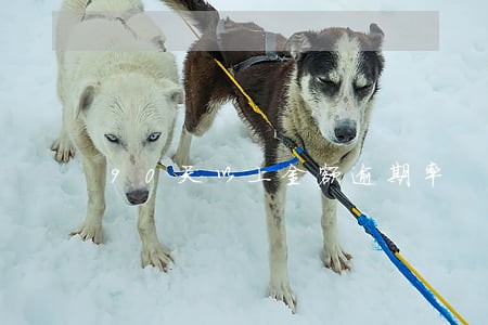 90天以上金额逾期率 90天以上金额逾期率