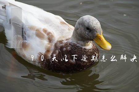 90天以下逾期怎么解决 90天以下逾期怎么解决