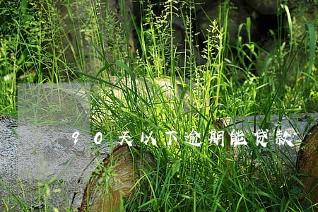 90天以下逾期能贷款 90天以下逾期能贷款