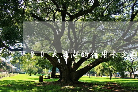 90天以内的信用卡逾期 90天以内的信用卡逾期