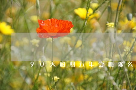 90天逾期五年会删除么 90天逾期五年会删除么