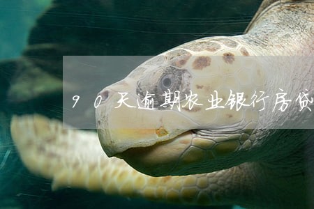 90天逾期农业银行房贷 90天逾期农业银行房贷