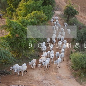 90天逾期多长时间消除 90天逾期多长时间消除