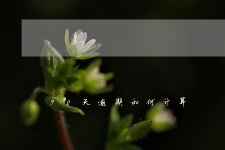 90天逾期如何计算 90天逾期如何计算
