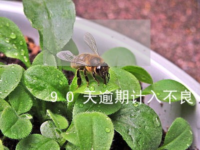 90天逾期计入不良