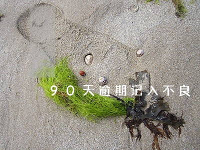 90天逾期记入不良 90天逾期记入不良