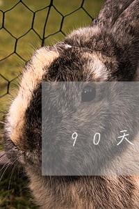 90天逾期违约风险 90天逾期违约风险