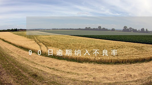 90日逾期纳入不良率