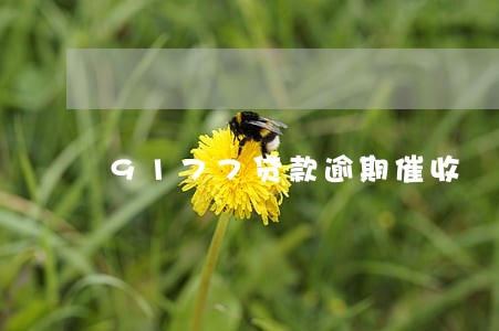 9177贷款逾期催收 9177贷款逾期催收